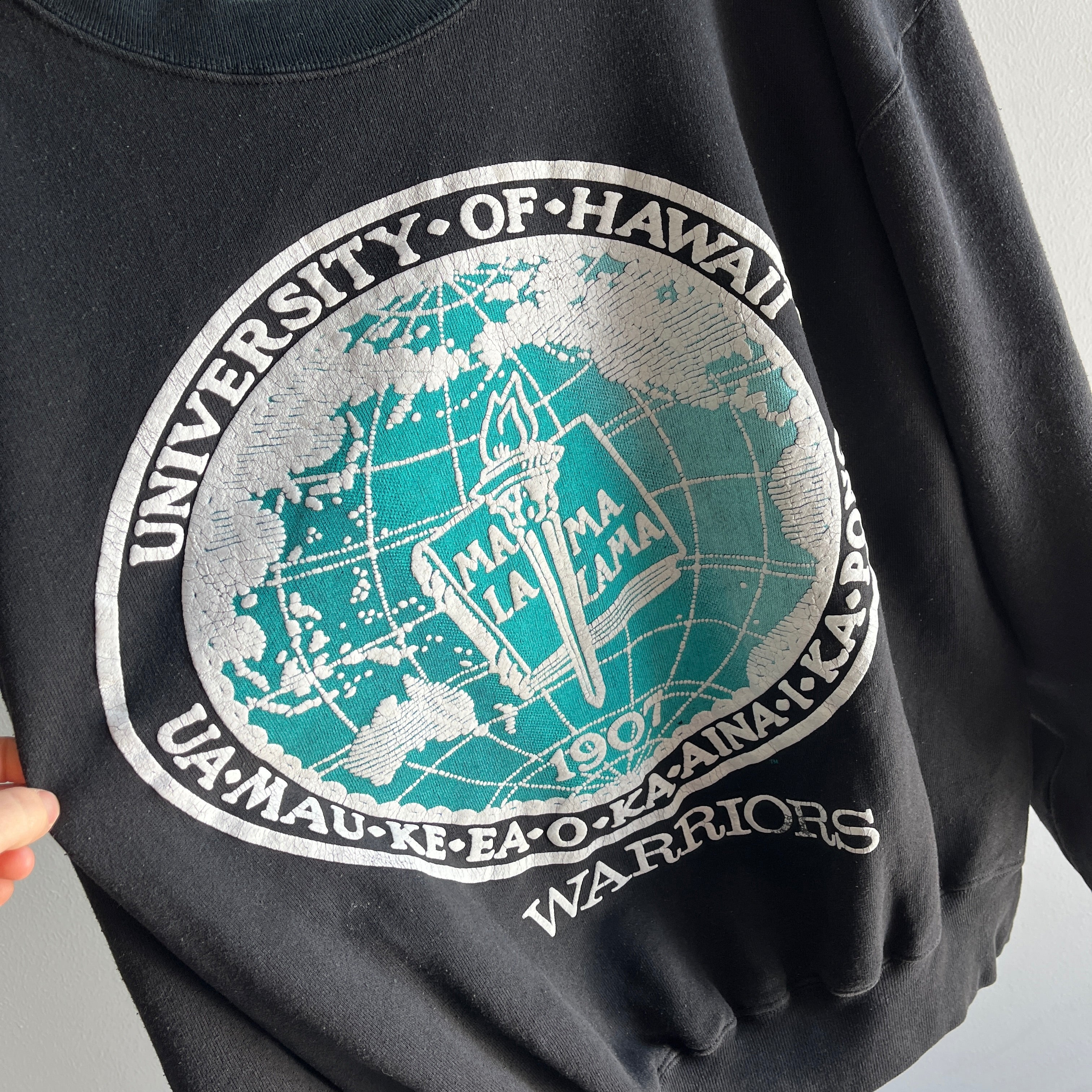 1980s University of Hawaii Oversized Sweatshirt