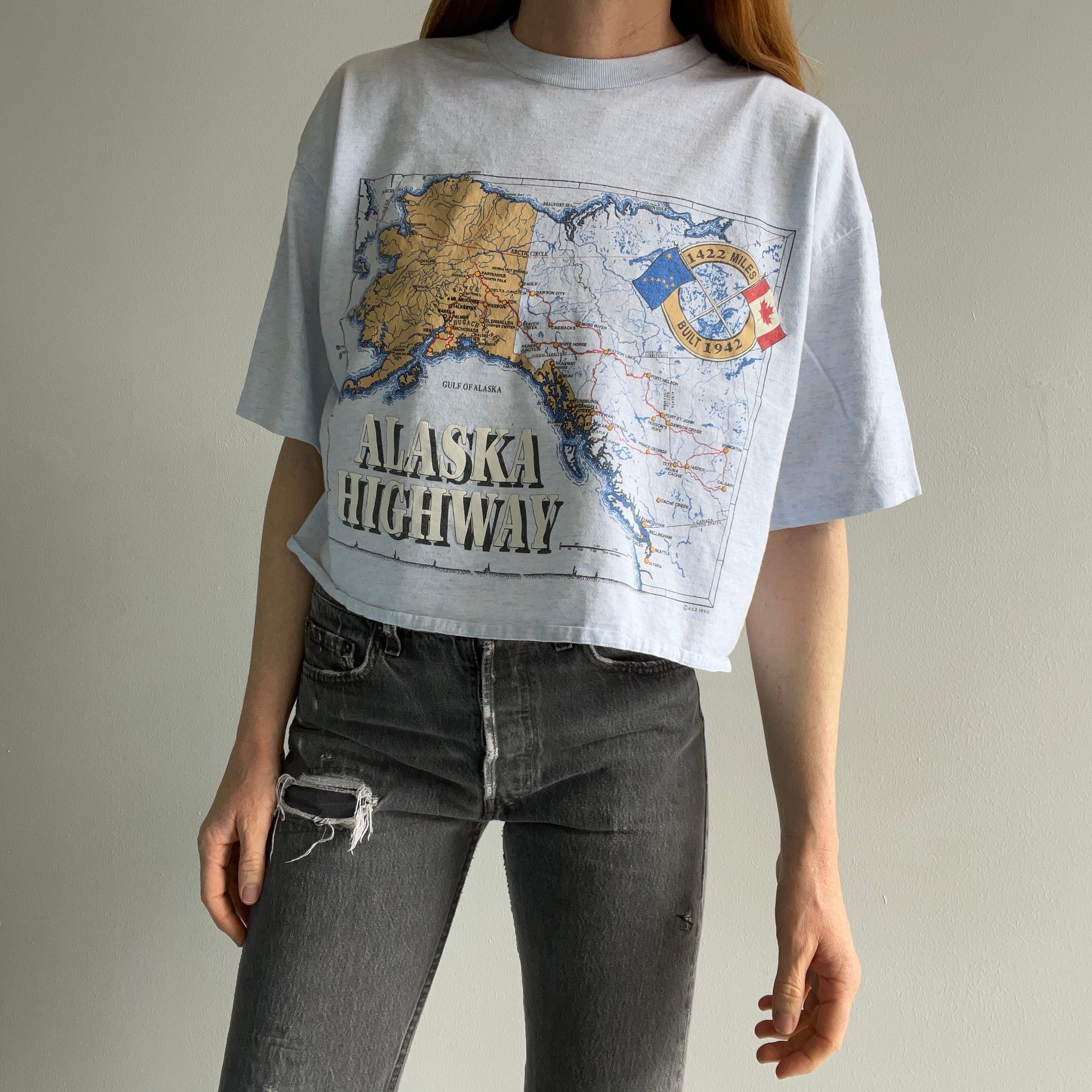 1993 Alaska Highway DIY Crop Top