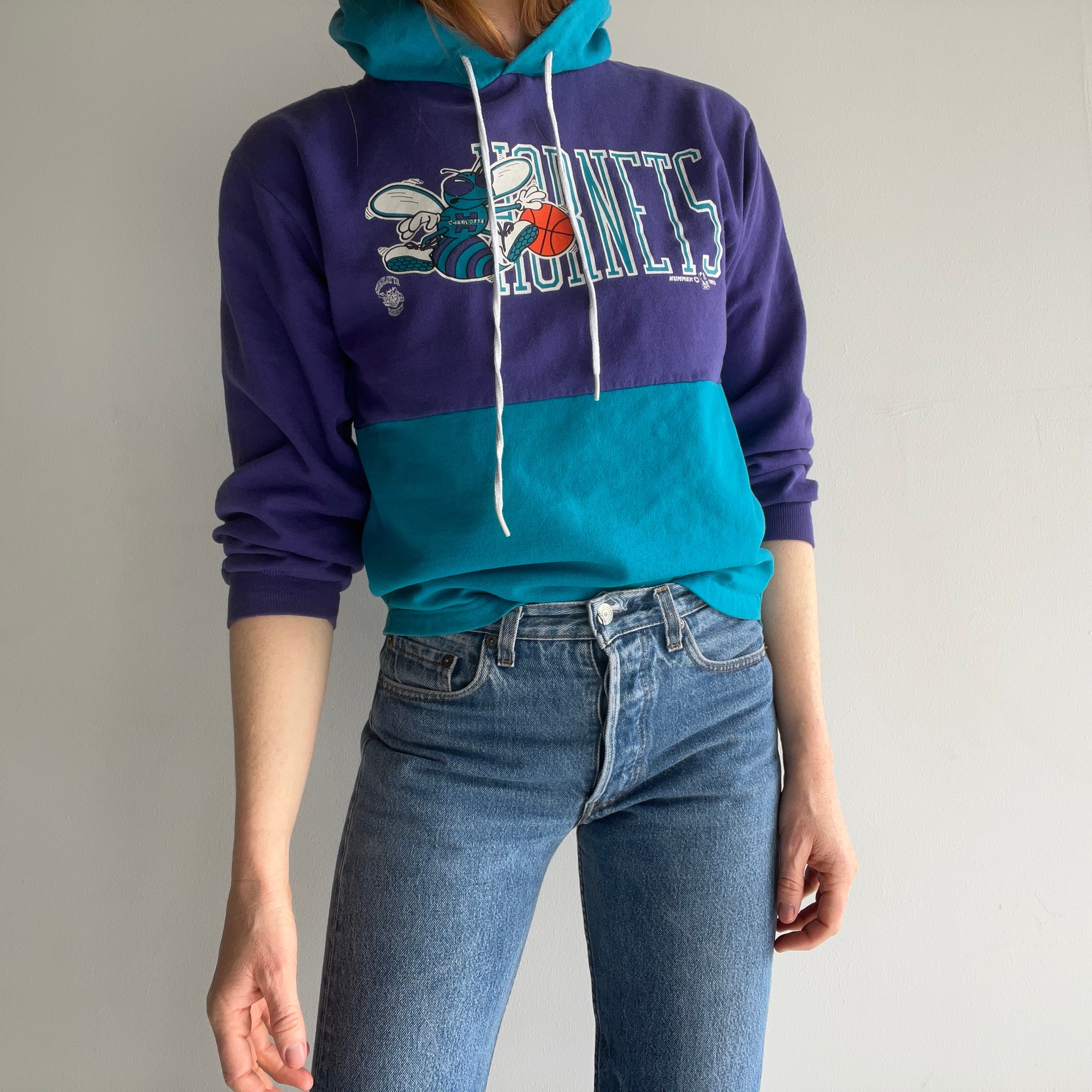 1993 Charlotte Hornets Color Block Hoodie Sweatshirt