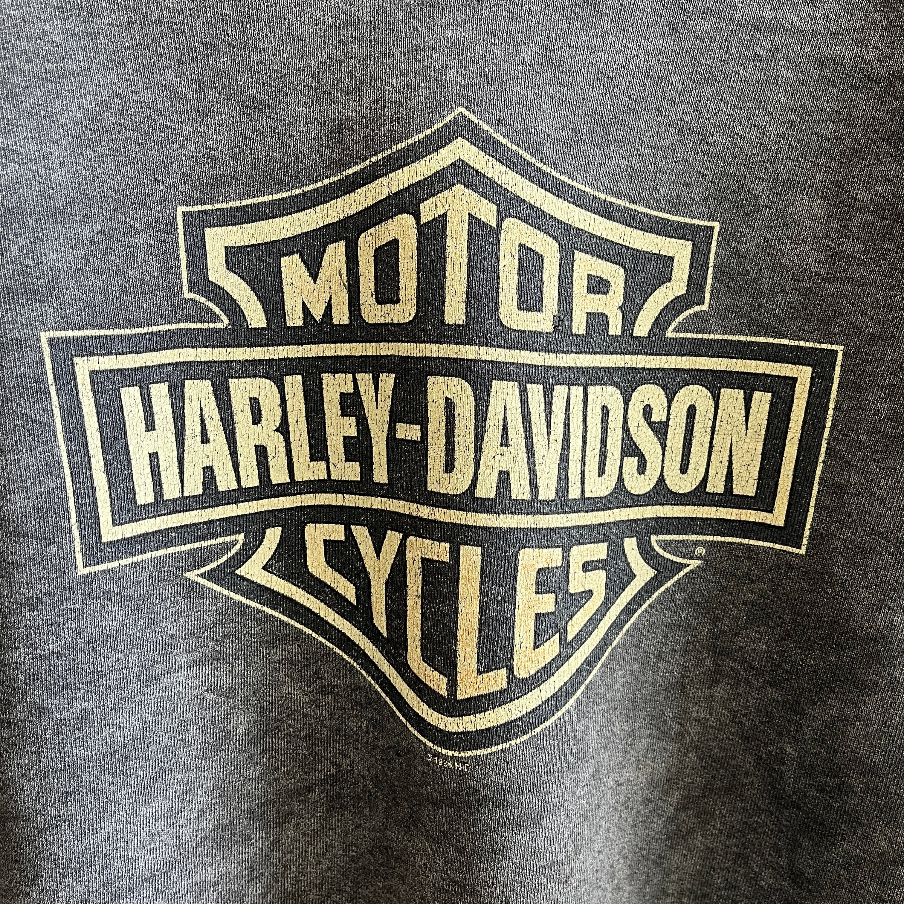 Sweat Harley THRASHED BEYOND teint à la main 1996