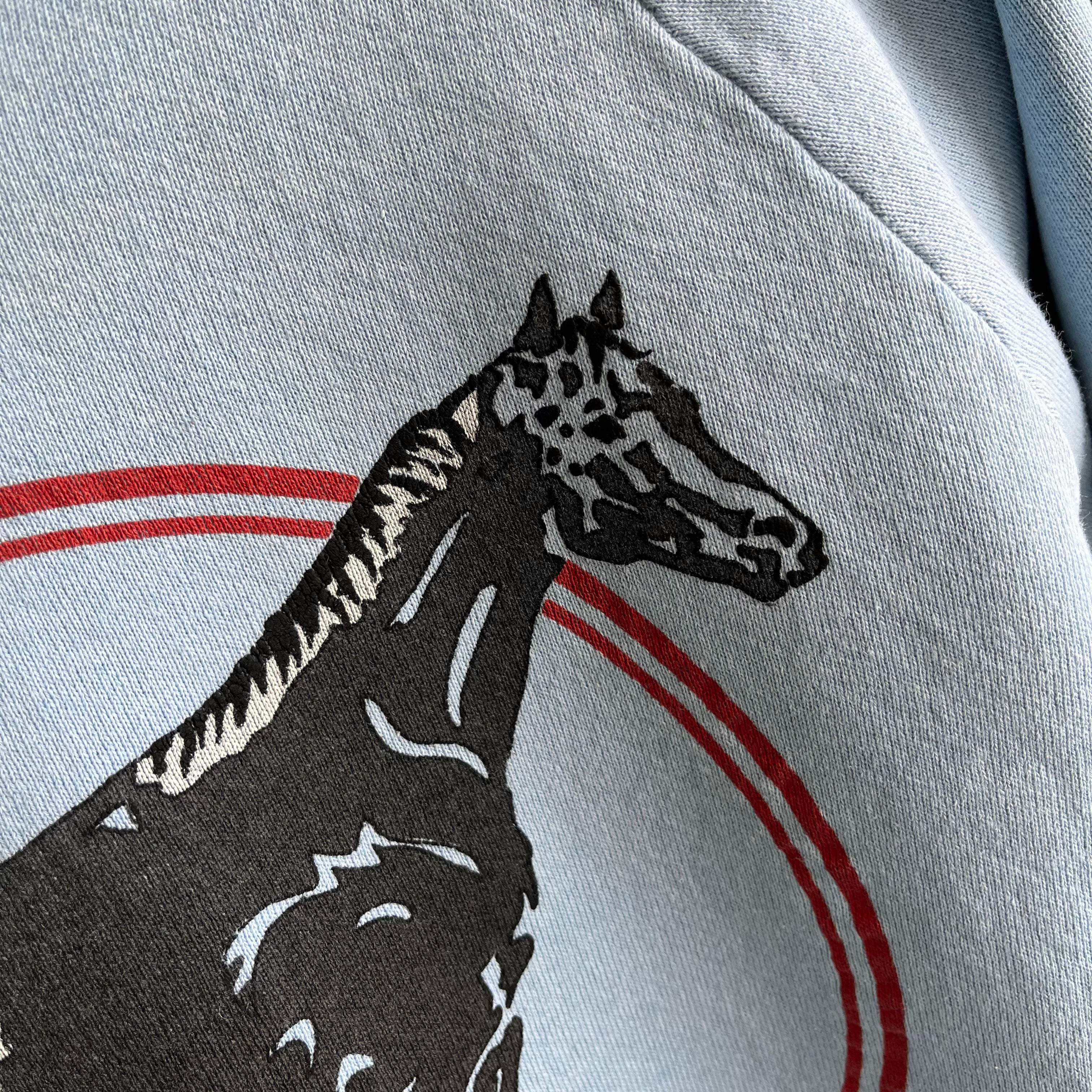 1980s Appaloosa Sweatshirt by FOTL - OMG!