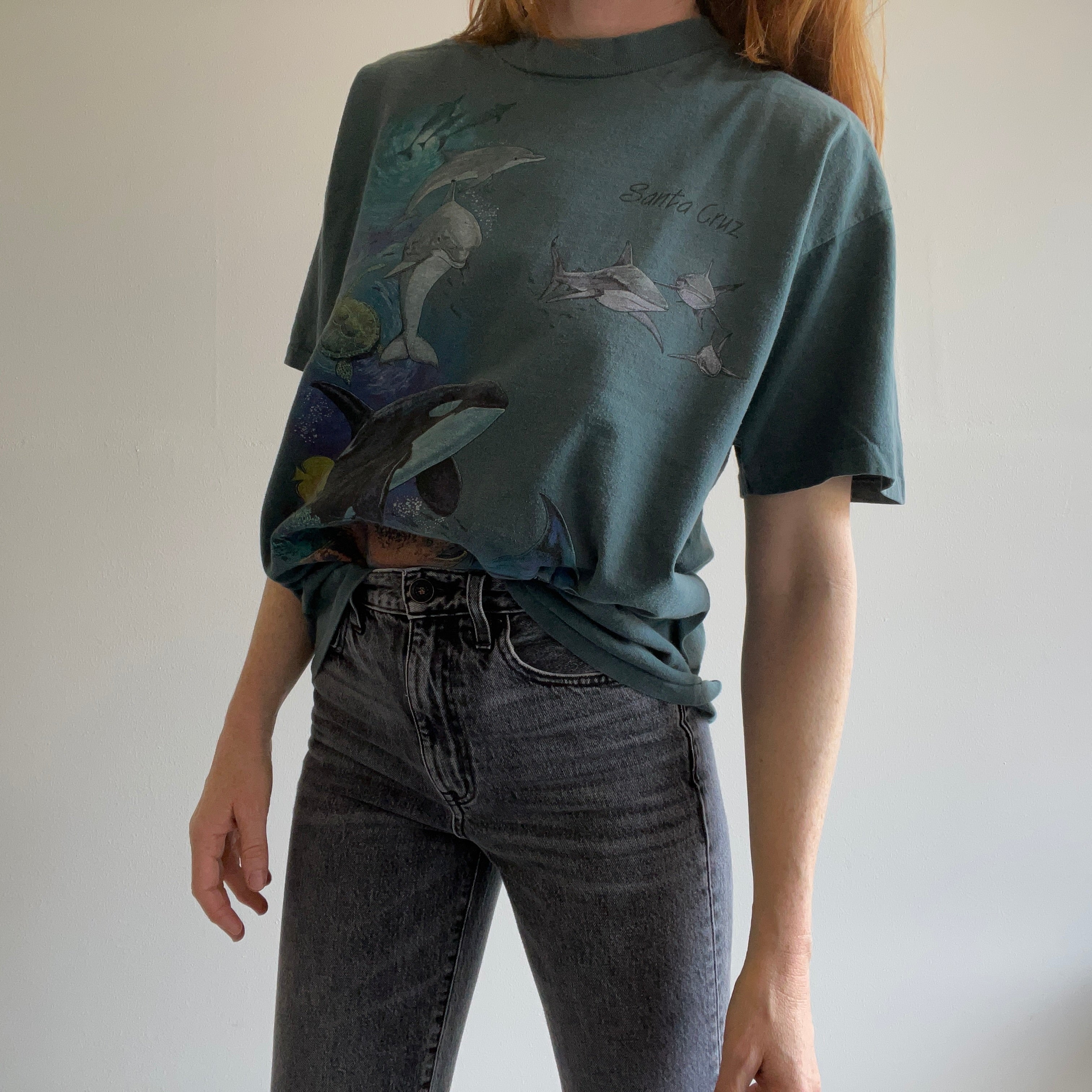 1990s Santa Cruz Dolphin and Whale Cotton Tourist T-Shirt