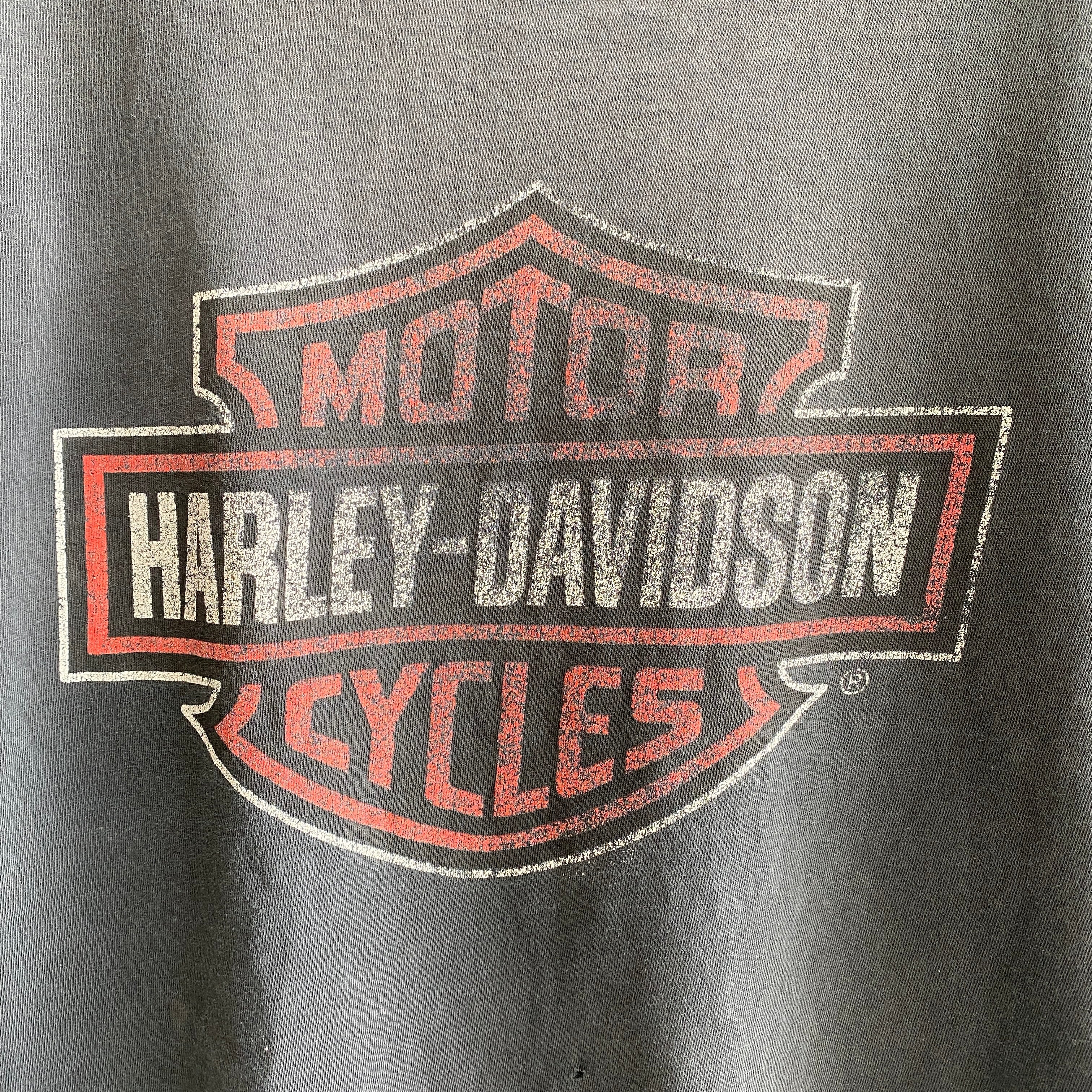 2000s Tattered, Torn, Faded, Worn - All The Things - Harley T-Shirt